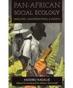The cover of "Pan-African Social Ecology" book
