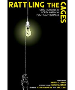book cover of "Rattling The Cages" featuring the drawing of a hand reaching from the dark to pull a string and turn on a bare, hanging light bulb